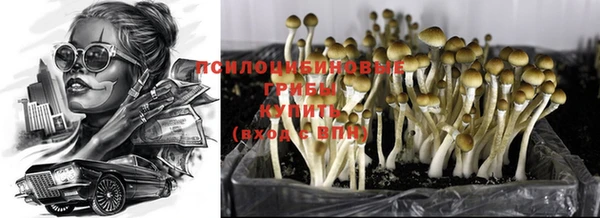 тгк Надым