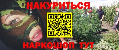 синтетический гашиш Камышлов