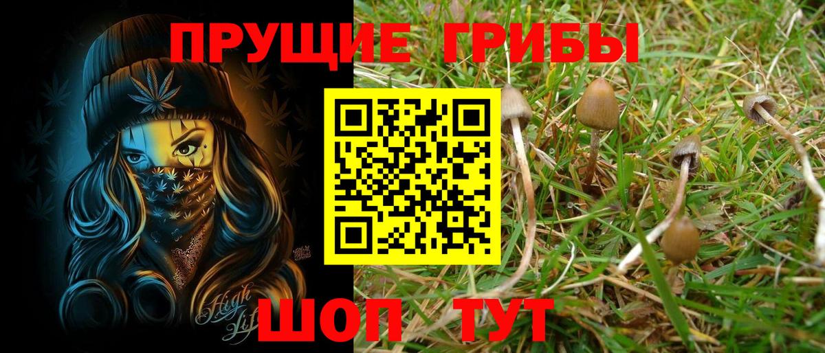 Псилоцибиновые грибы прущие грибы Лысьва