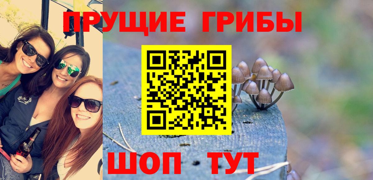 Галлюциногенные грибы Cubensis  Лысьва 